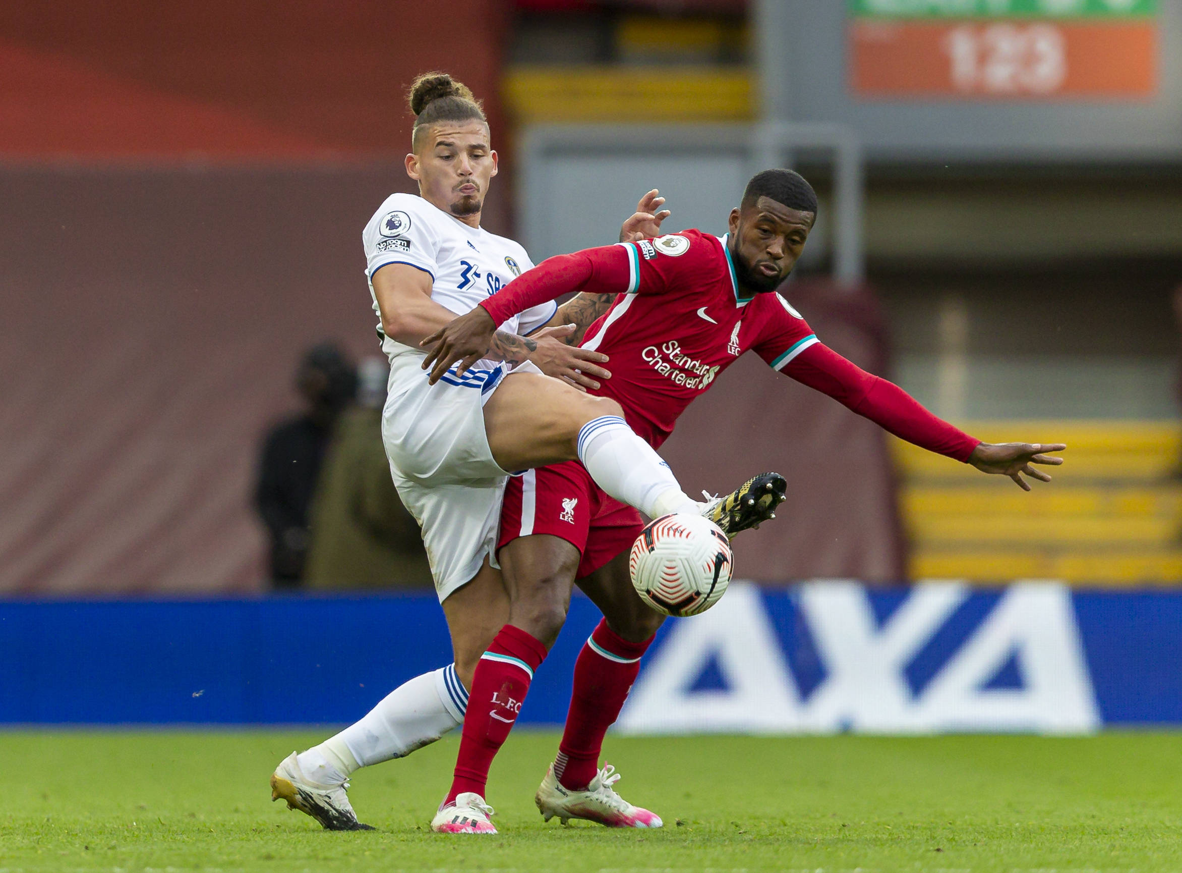 新鲜血液 新鲜血液